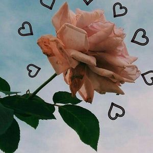 Meet your Posher, Yadira